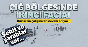 Çığ bölgesinde ikinci facia! İşte olay yerinden kareler