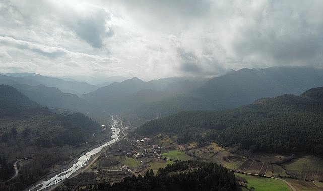 Ilgaz Dağı’nın eteklerinde mest eden sis manzarası