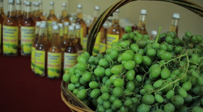 Elazığ'da geçen sene hayata geçirilen