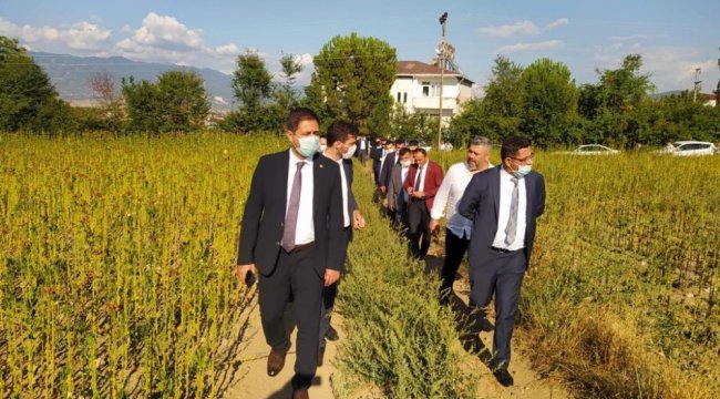 Tokat'ın Erbaa ilçesinde bulunan Horoztepe nekropolünde (mezarlık) ince...