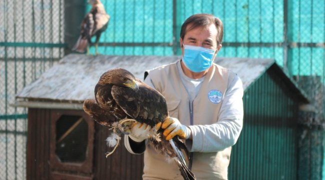 Kayseri Büyükşehir Belediyesi Anadolu Harikalar Diyarı Hayvanat Bahçesi, 1 ...