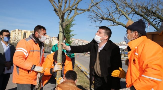 Aksaray Belediyesi Park ve Bahçeler Müdürlüğü Aksaray genelinde yeşil alanl...
