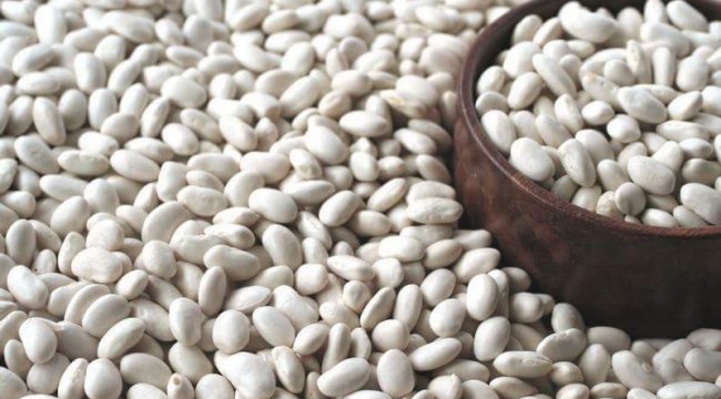 Ardahan'ın Posof ilçesi ve civarında yetişen Posof fasulyesi, 1 yıllık ...