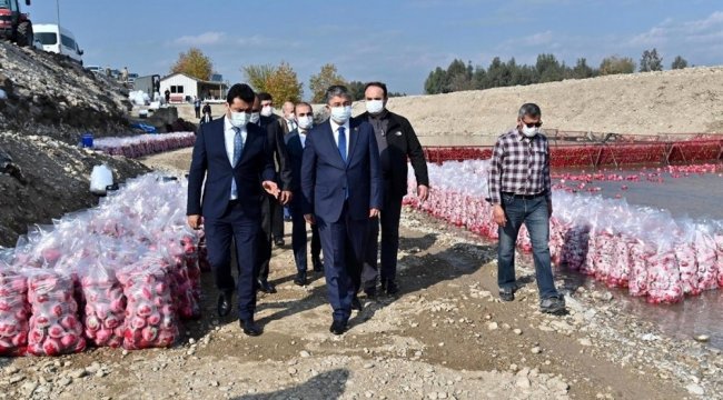 Osmaniye Valisi Erdinç Yılmaz, Türkiye'de turpun yüzde 74'ünün Osma...