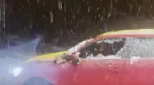 Mersin'in Erdemli ilçesinde bin 700 rakımlı Hacıalanı Yaylası'nda a...