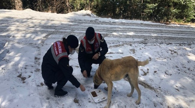 Denizli İl Jandarma Komutanlığına bağlı Çevre, Doğa ve Hayvanları Koruma Ti...