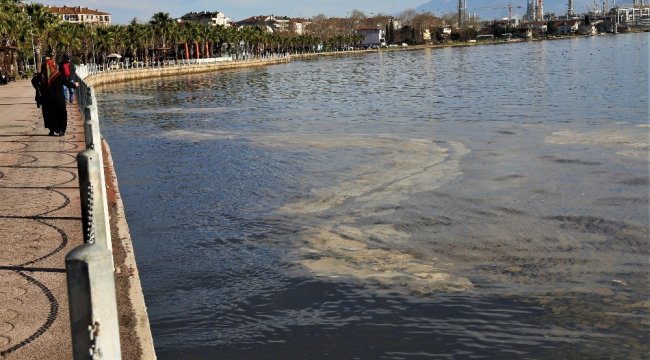 Kocaeli'nin Körfez ilçesinde, İzmit Körfezi'nin sahil şeridini kapl...