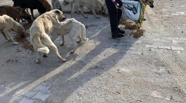 Kütahya'nın Çavdarhisar ilçesinde jandarma ekipleri, soğuk kış şartları...