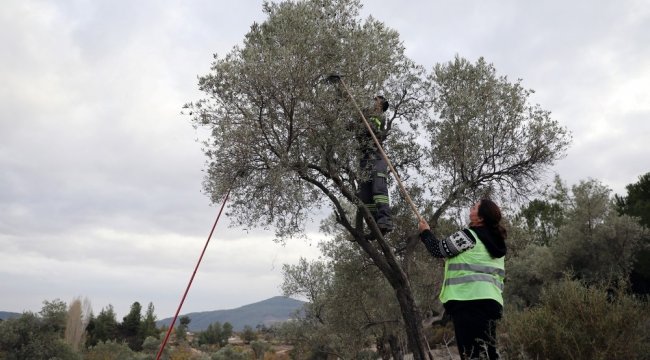 Pandemi sürecinde yerli üretimi destekleyen tarım projeleriyle dikkat çeken...