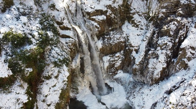Gümüşhane'nin Kürtün ilçesi sınırlarında bulunan Örümcek Ormanları'...