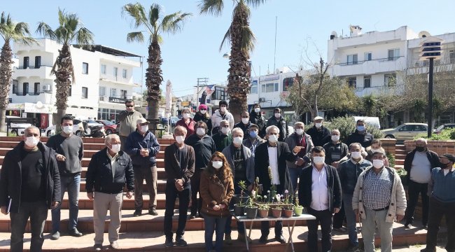 Koruma altında olan ve bitki ile soğanının sökülmesi yasak olan Salep bitki...