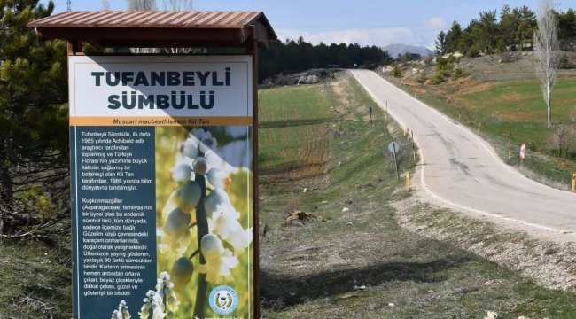 Adana'nın Tufanbeyli ilçesinde Doğanbeyli ve Güzelim köyleri civarında ...