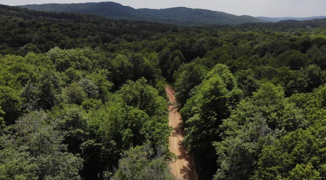 Kırklareli'nin doğa harikalarından biri olan Yıldız dağları olarak da b...