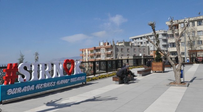 Türkiye İstatistik Kurumu (TÜİK) Siirt Bölge Müdürlüğü 2020 yılı doğum ista...