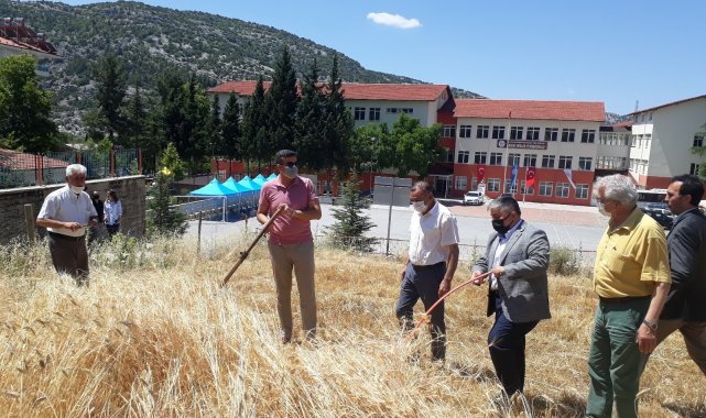 Alanya Alaaddin Keykubat Üniversitesi (ALKÜ) Akseki Meslek Yüksekokulu (MYO...