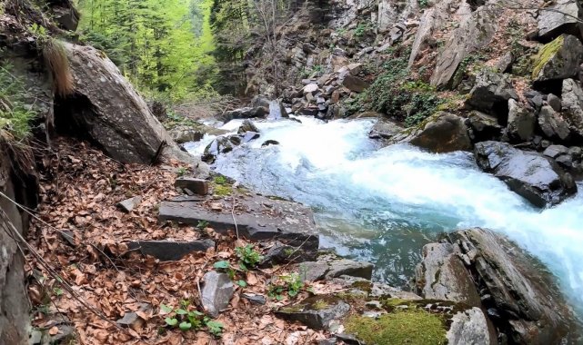 Bursa'nın Kestel ilçesine bağlı Derekızık köyünde Gölçukuru yaylasında ...