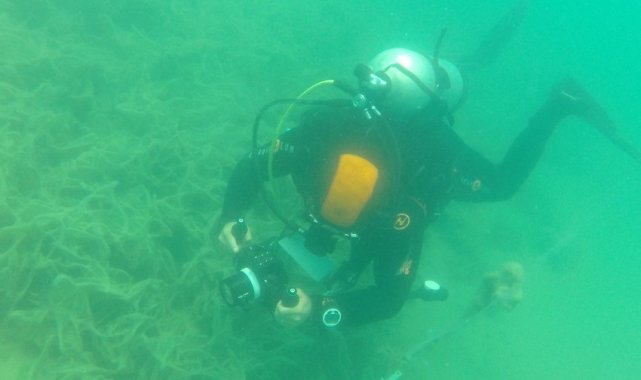 Manisa Celal Bayar Üniversitesi (MCBÜ) Fen Edebiyat Fakültesi Biyoloji Bölü...