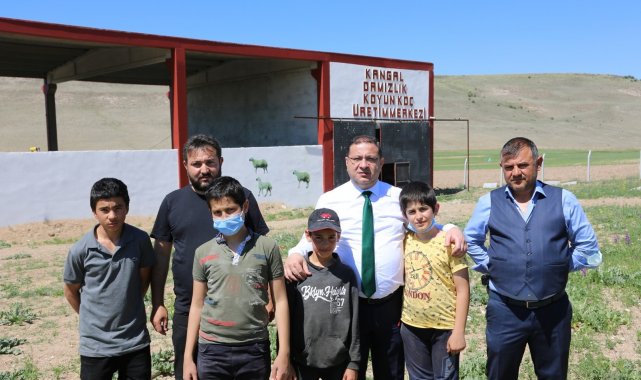 Sivas'ın Kangal ilçesinde bulunan ve 4 bin kapasiteye sahip olan Damızl...