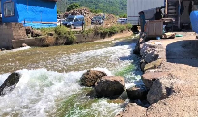 Zonguldak'ın Kilimli ilçesine bağlı Çatalağzı beldesi sahilinde görülen...