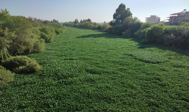 Suriye'den geçerek Hatay'dan Akdeniz'e dökülen Asi Nehri'ni...