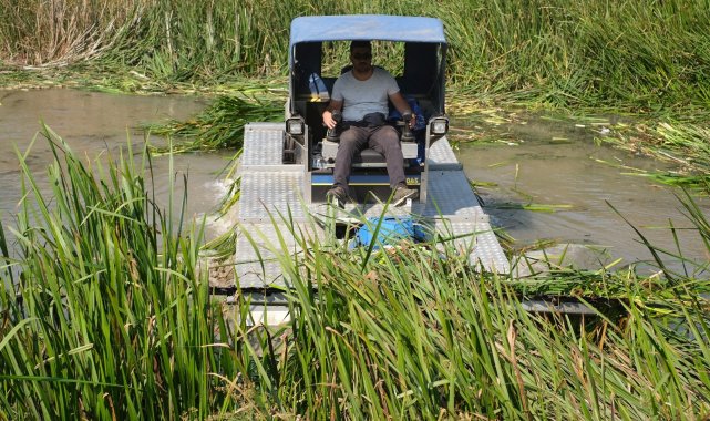 Kütahya'da, Ağaçköy Regülatör ve İnköy Yedigöller gölgesinde sazlıkları...
