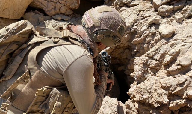 Siirt'in Pervari ilçesi Yazlıca (Herekol) Dağı bölgesinde etkisiz hale ...