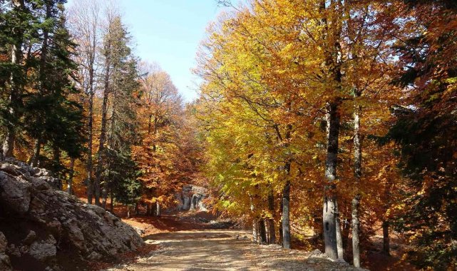 Adana'nın Kozan ilçesine bağlı Göller Yaylası çevresinde bulunan Yirce ...