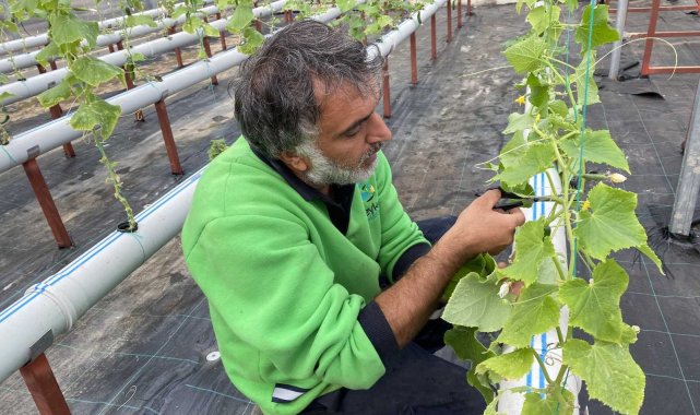 Beykoz Belediyesi ve Beykoz Üniversitesi tarafından ilçenin mevcut tarım po...