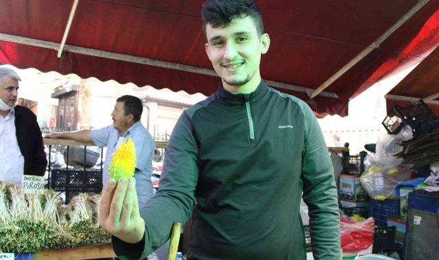 Çok güçlü bir yara kapatıcı özelliği olan kudret narı, asırlardır şifa veri...