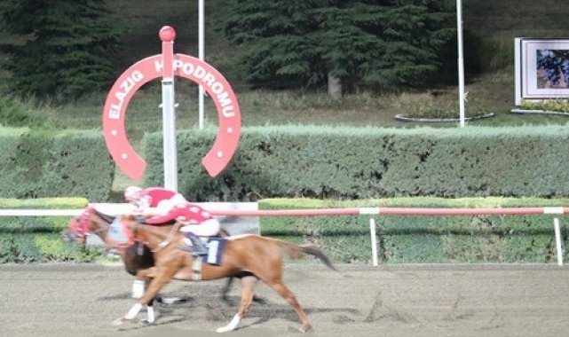 Elazığ Üzüm Festivali adına Elazığ Hipodromunda düzenlenen koşuyu Dothraki ...