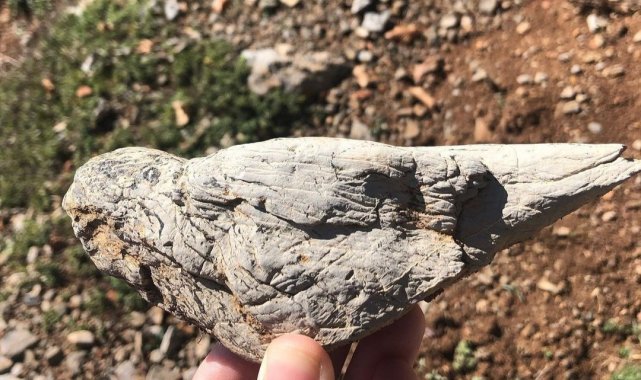 Kahramanmaraş'ta bulunan kuş görünümlü taş görenleri şaşırttı