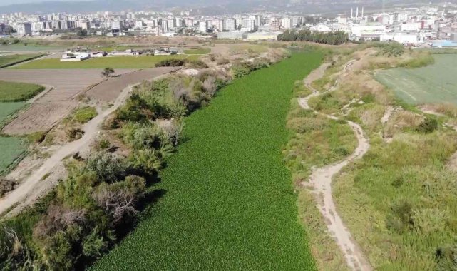 Lübnan'ın Beka Vadisi'nden başlayan, Suriye sınırını aşarak Türkiye...
