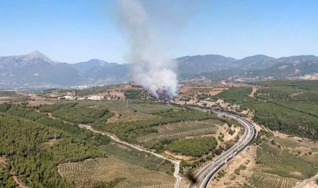 Osmaniye'nin Düziçi ilçesi Ellek beldesi civarında çıkan orman yangını ...