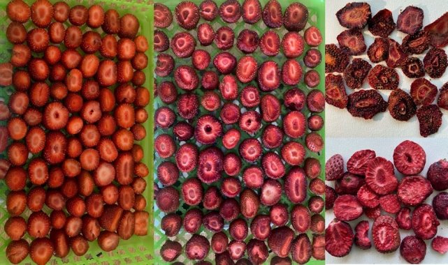 Gaziantep Üniversitesi (GAÜN) Mühendislik Fakültesi Gıda Mühendisliği Bölüm...