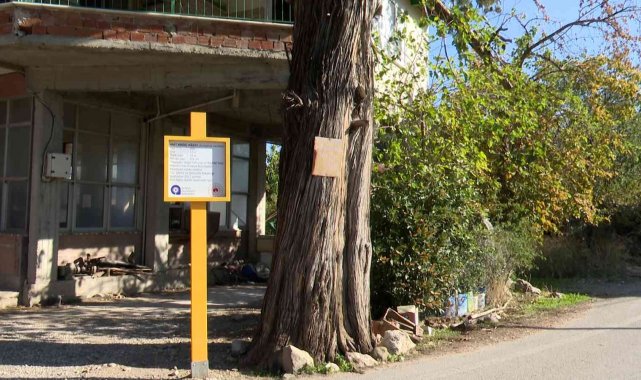 Antalya Büyükşehir Belediyesi, Konyaaltı İlçesi Gökçam sınırlarında anıt ağ...