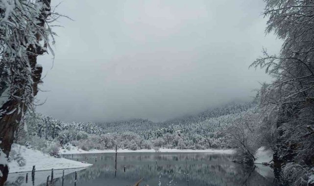 Bolu'da, Sülüklü Göl Tabiat Parkı'nda yürüyüş yaptıkları sırada kop...