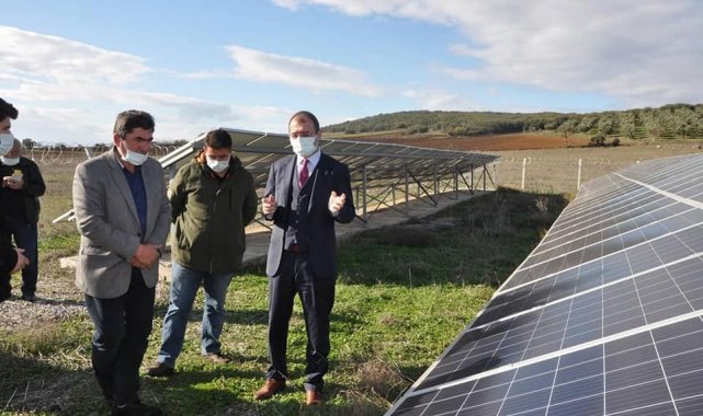 Çanakkale'nin Biga Kaymakamı Erdinç Dolu, Çakırlı köyünde 700 dönümlük ...