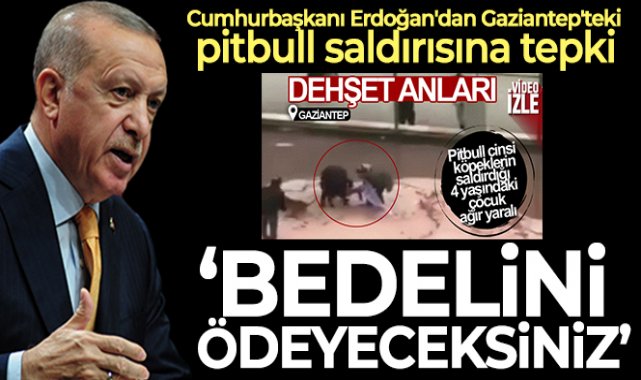 Cumhurbaşkanı Erdoğan'dan, pitbull saldırısına tepki: 'Bedelini ödeyeceksiniz'