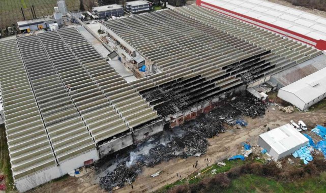 DÜZCE (İHA) – Düzce'nin Doğanlı köyünde bulunan Kelebek Mobilya fabrika...