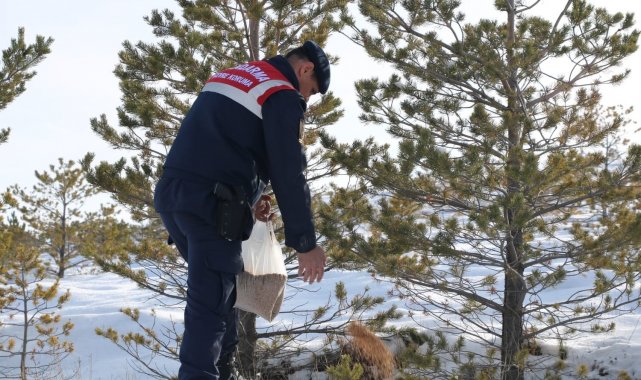 Sivas İl Jandarma Komutanlığı bünyesinde bulunan Çevre Doğa ve Hayvanları K...