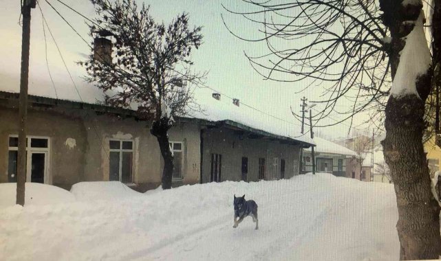 Tufanbeyli ilçesinde tipiden dolayı hayat felç olurken, işçi servisi yolda kaldı