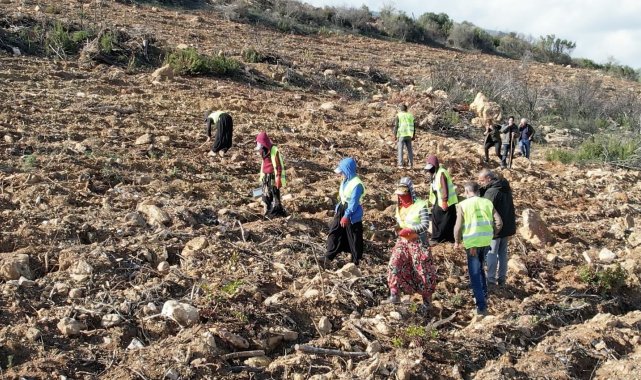 İzmir'de Gaziemir Orman İşletme Müdürlüğü görev alanı içinde yer alan M...
