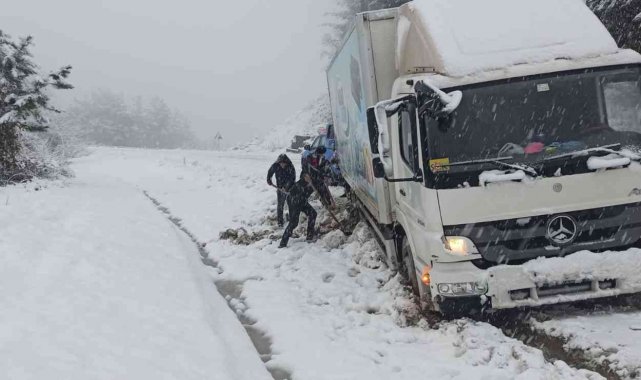 Kastamonu'nun Abana ilçesinde yoldan çıkan kamyon, şarampolde kara sapl...