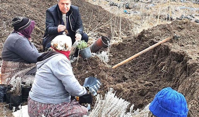 Afyonkarahisar'ın Dinar ilçesine kurulan Kadın Kültür Evleri Kooperatif...