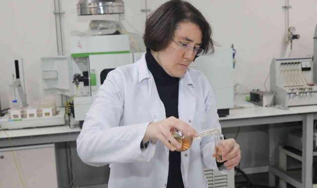 Bursa Teknik Üniversitesi (BTÜ), Mühendislik ve Doğa Bilimleri Fakültesi, K...