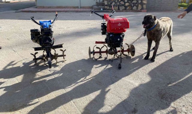 Elazığ'da merkeze bağlı Hankendi köyü Yenikonak Mahallesi'nde çapa ...