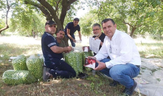 Aydın'ın erik diyarı olarak bilinen Umurlu Mahallesi'nde dönemin Ça...