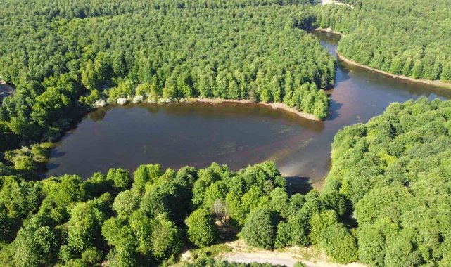 Yalova'nın Çınarcık ilçesinde bulunan Karlık Yaylası'nda kar suları...