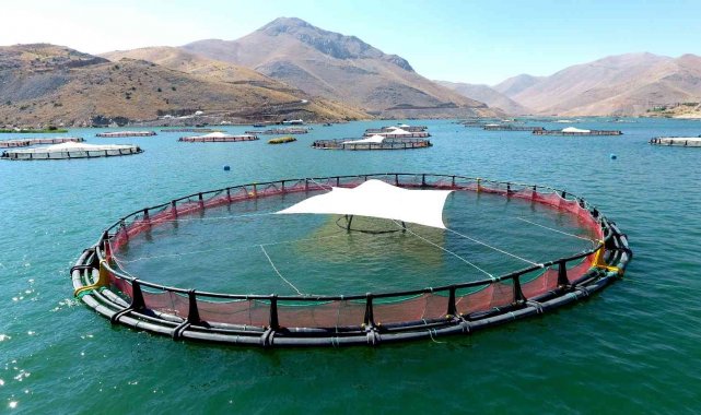 Adıyaman'ın Çelikhan ilçesindeki Çat Barajı'nda üretilen 2 bin ton ...