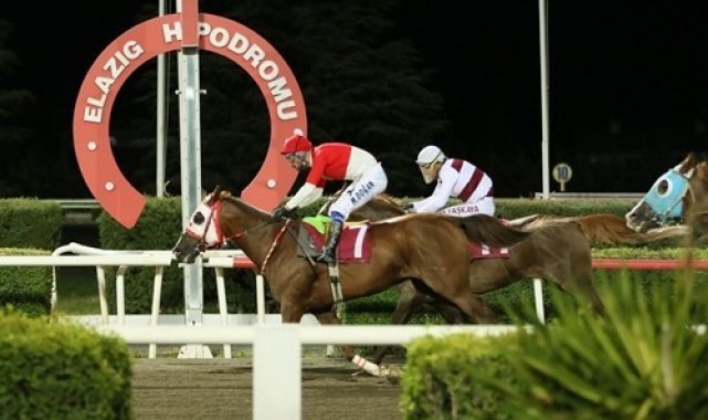 Elazığ İl Tarım ve Orman Müdürlüğü adına düzenlenen koşuyu Yutangirdap isim...